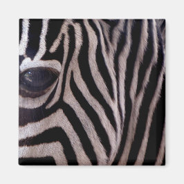 Zebra ränder magnet