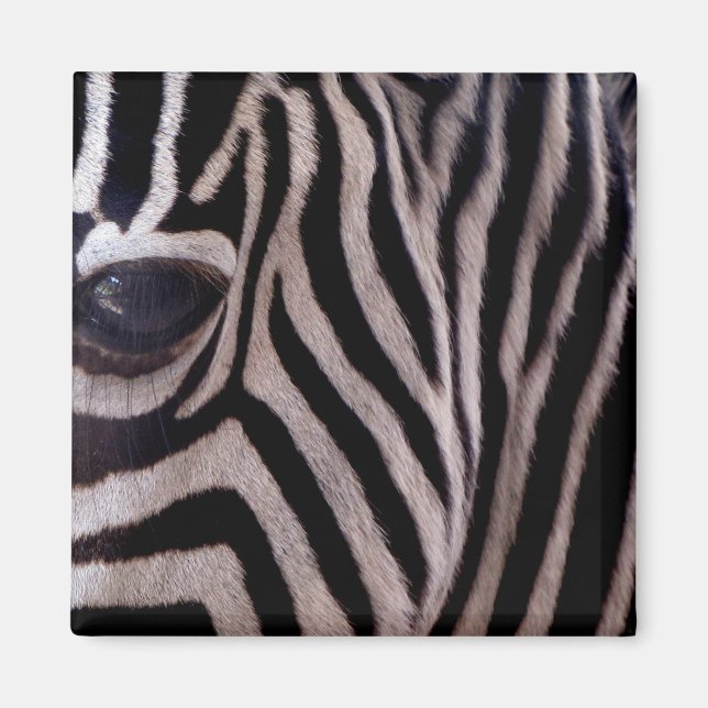Zebra ränder magnet (Framsidan)