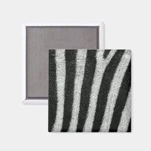 Zebra ränder Magnet