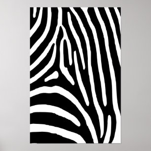 Zebra ränder poster