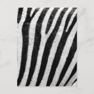 zebra ränder vykort