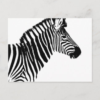 zebra ränder vykort