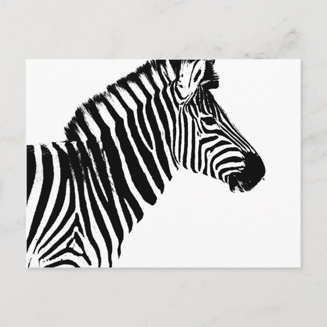 zebra ränder vykort (Framsida)
