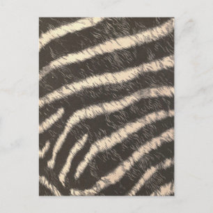 Zebra ränder vykort