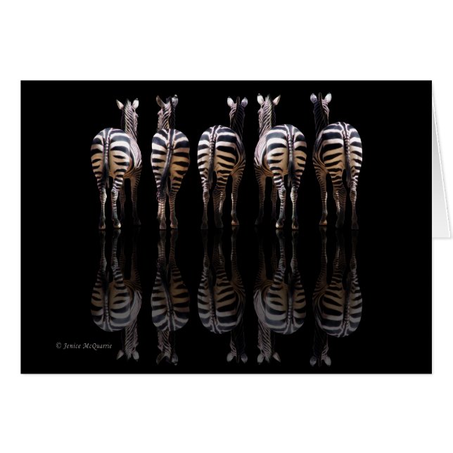 Zebra Reflection OBS Kort (Framsidan Horizontal)