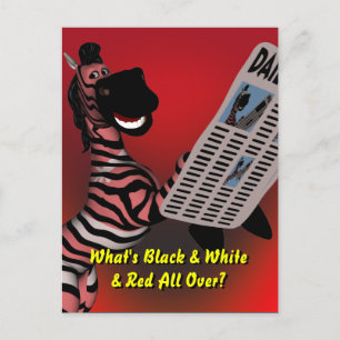 Zebra Riddle Vykort