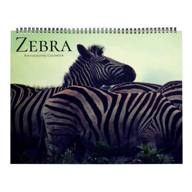 zebra safari 2025 stor kalender (Omslag)