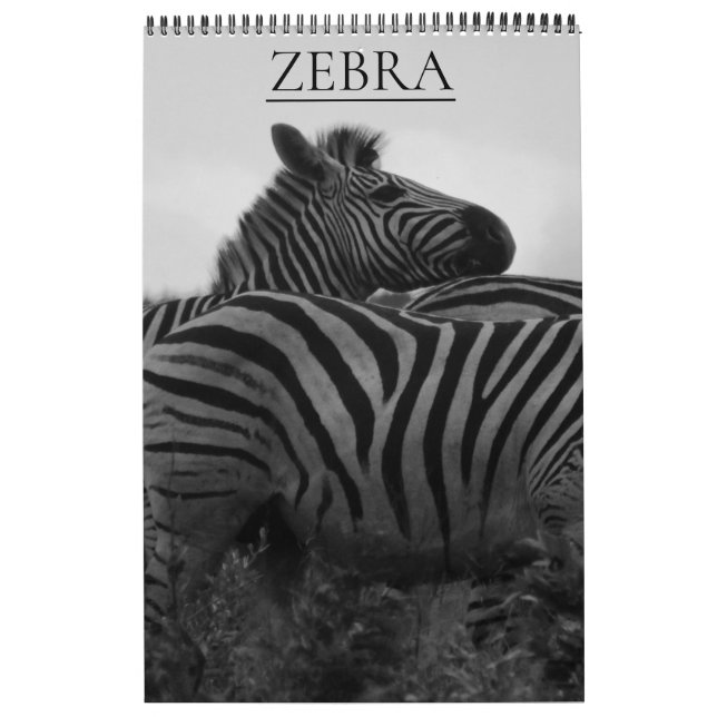 zebra safari kalender (Omslag)