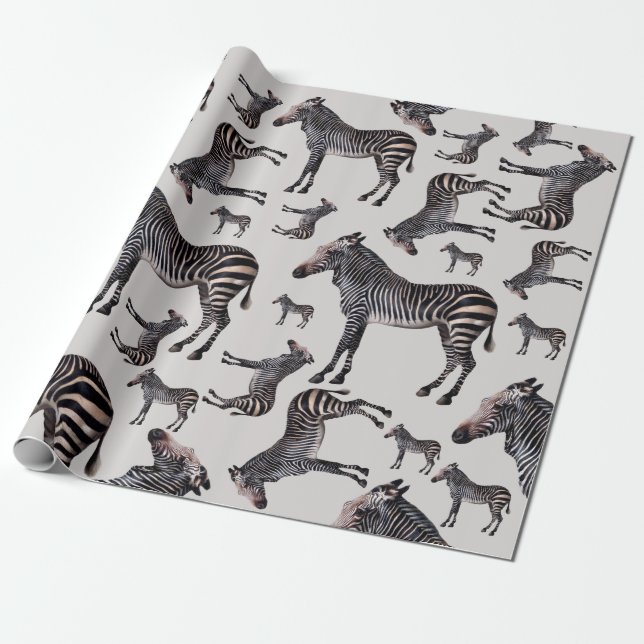 Zebra Safari Vintage Illustration Presentpapper (Utrullad)