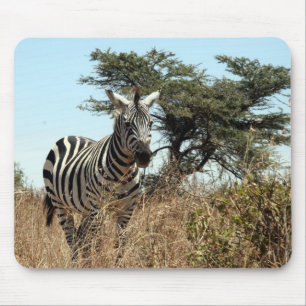 zebra-scen musmatta