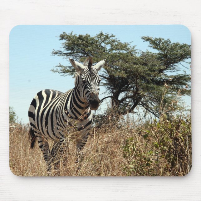 zebra-scen musmatta (Framsidan)