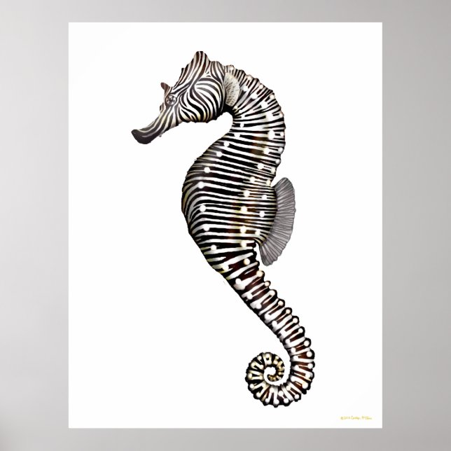 Zebra Seahorse Art Poster (Framsidan)