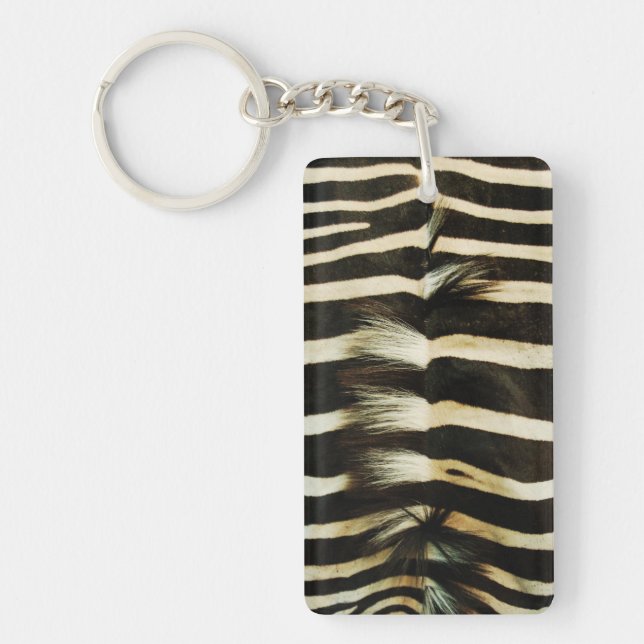 Zebra Skin (Framsidan)