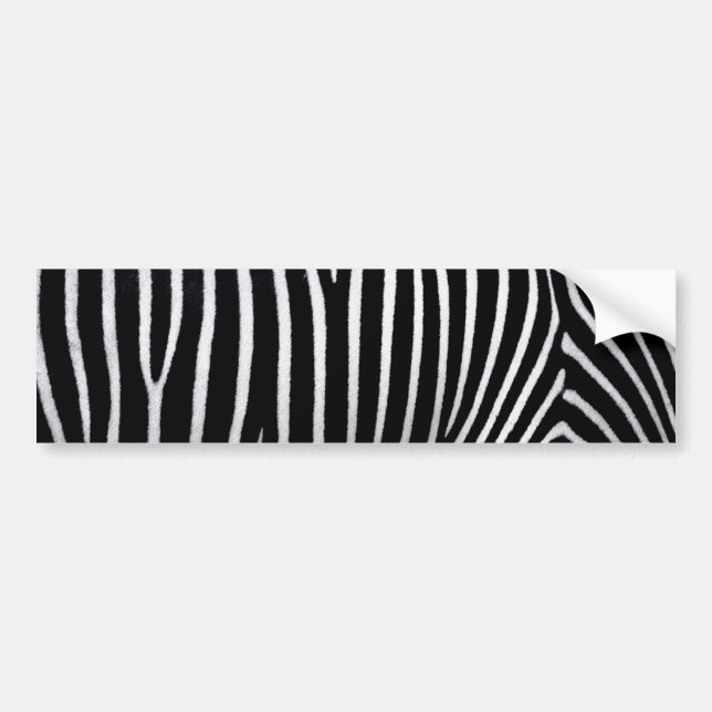Zebra Skin Bildekal (Framsidan)