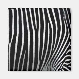 Zebra Skin Magnet