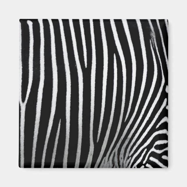 Zebra Skin Magnet (Framsidan)