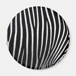 Zebra Skin Magnet