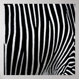 Zebra Skin Poster