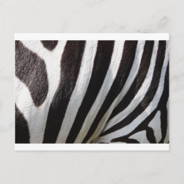 Zebra Skin-utskrift Vykort