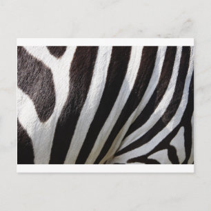 Zebra Skin-utskrift Vykort
