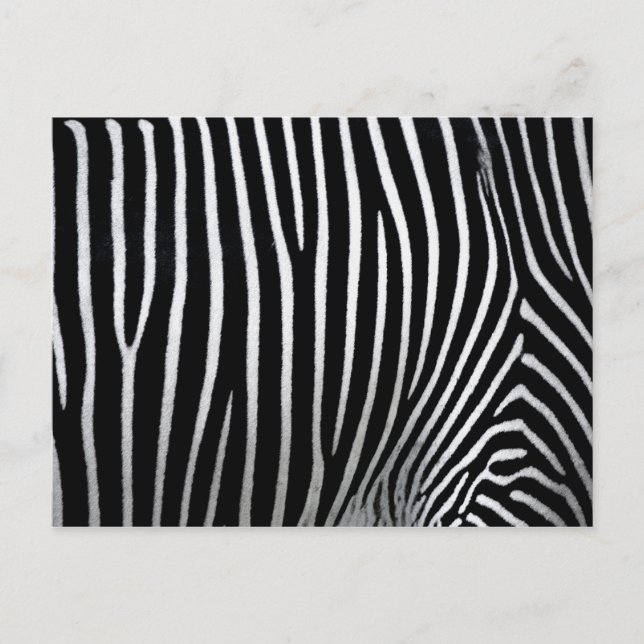 Zebra Skin Vykort (Framsida)