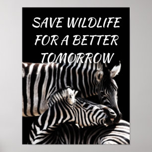 Zebra, Spara Wildlife för en bättre morgondag Poster