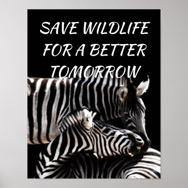 Zebra, Spara Wildlife för en bättre morgondag Poster (Framsidan)