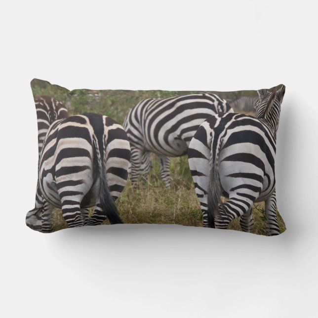 Zebra Stöttlummer kudde (Framsida)