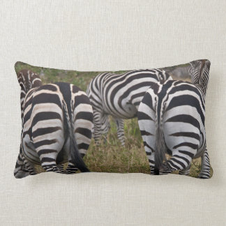 Zebra Stöttlummer kudde