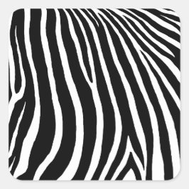 Zebra Stripes  Fyrkantigt Klistermärke