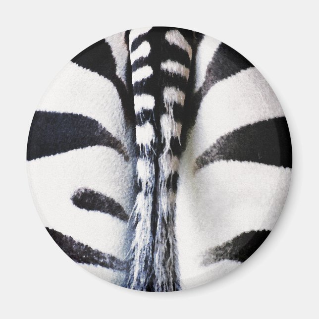 Zebra Svan Black & White Magnet (Framsidan)