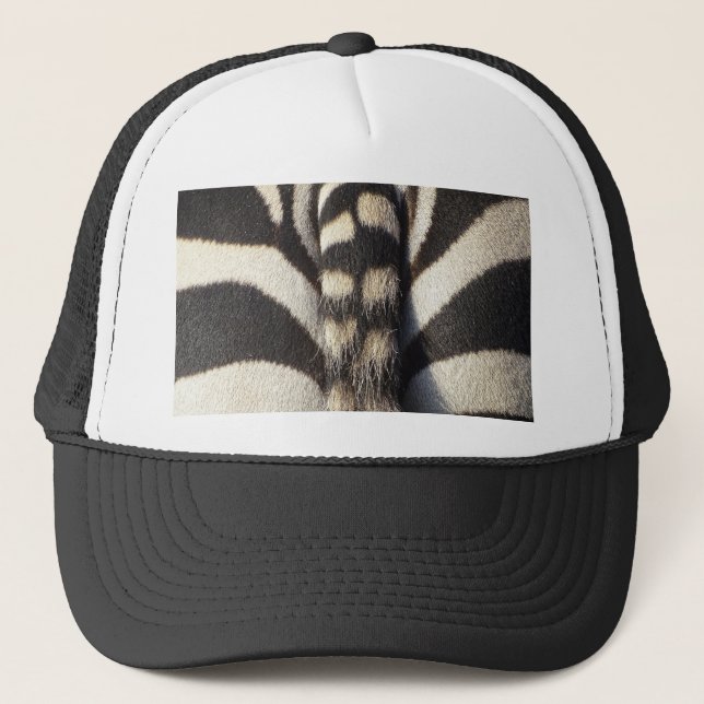 Zebra Svan Keps (Framsida)