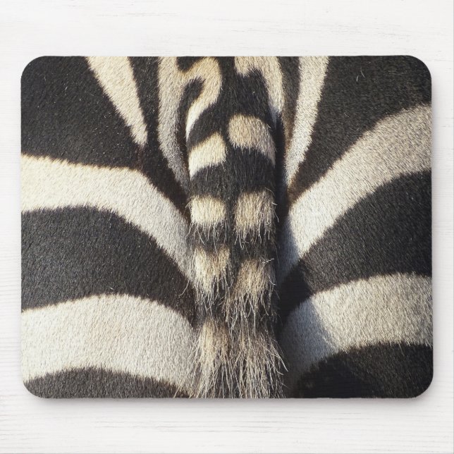 Zebra Svan Musmatta (Framsidan)