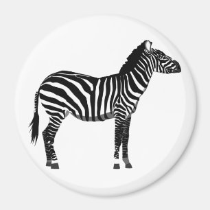 Zebra - Svarta och vita Magnet