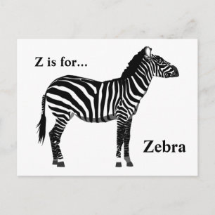 Zebra - Svarta och vita Vykort