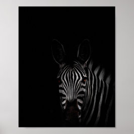 Zebra, svartvit fotografi poster