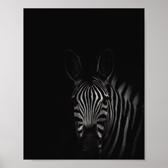Zebra, svartvit fotografi poster (Framsidan)