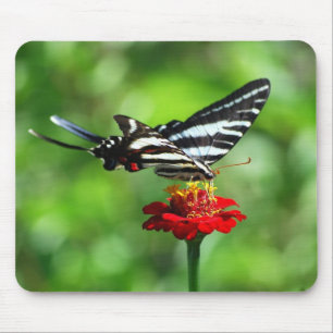 Zebra Swallowtail Butterfly Mousepad Musmatta