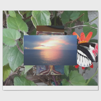 Zebra tail butterfly presentpapper