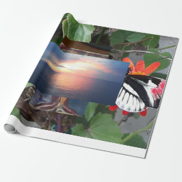 Zebra tail butterfly presentpapper