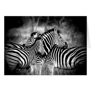 Zebra tänker på er Anpassningsbar Inside. OBS Kort