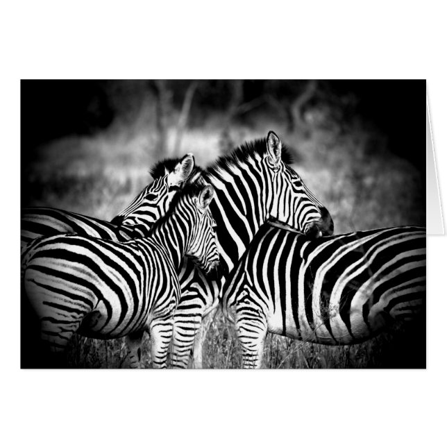 Zebra tänker på er Anpassningsbar Inside. OBS Kort (Framsidan Horizontal)