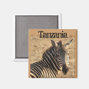 Zebra, Tanzanian Savannah Magnet