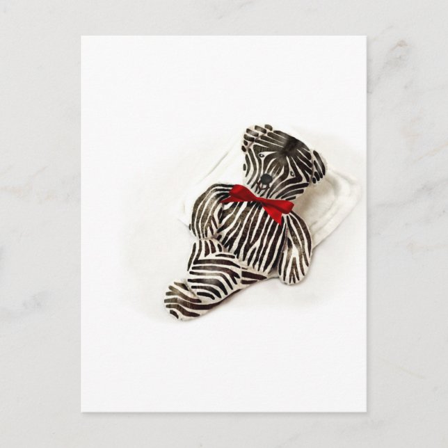 Zebra Teddy Vykort (Framsida)