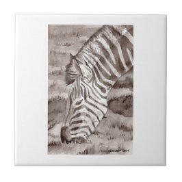 zebra tile kakelplatta