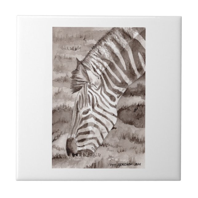 zebra tile kakelplatta (Framsidan)