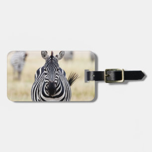 Zebra tittar på dig bagagebricka