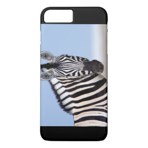 Zebra tittar på dig
