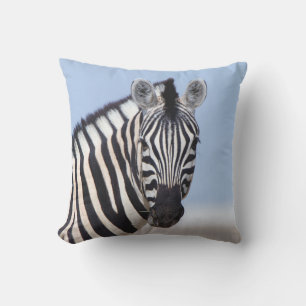 Zebra tittar på dig med blå himmel-foto kudde