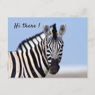 Zebra tittar på dig med blå himmel fototext vykort